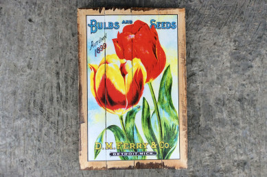 Træskilt med motiv - Blomster tulipaner